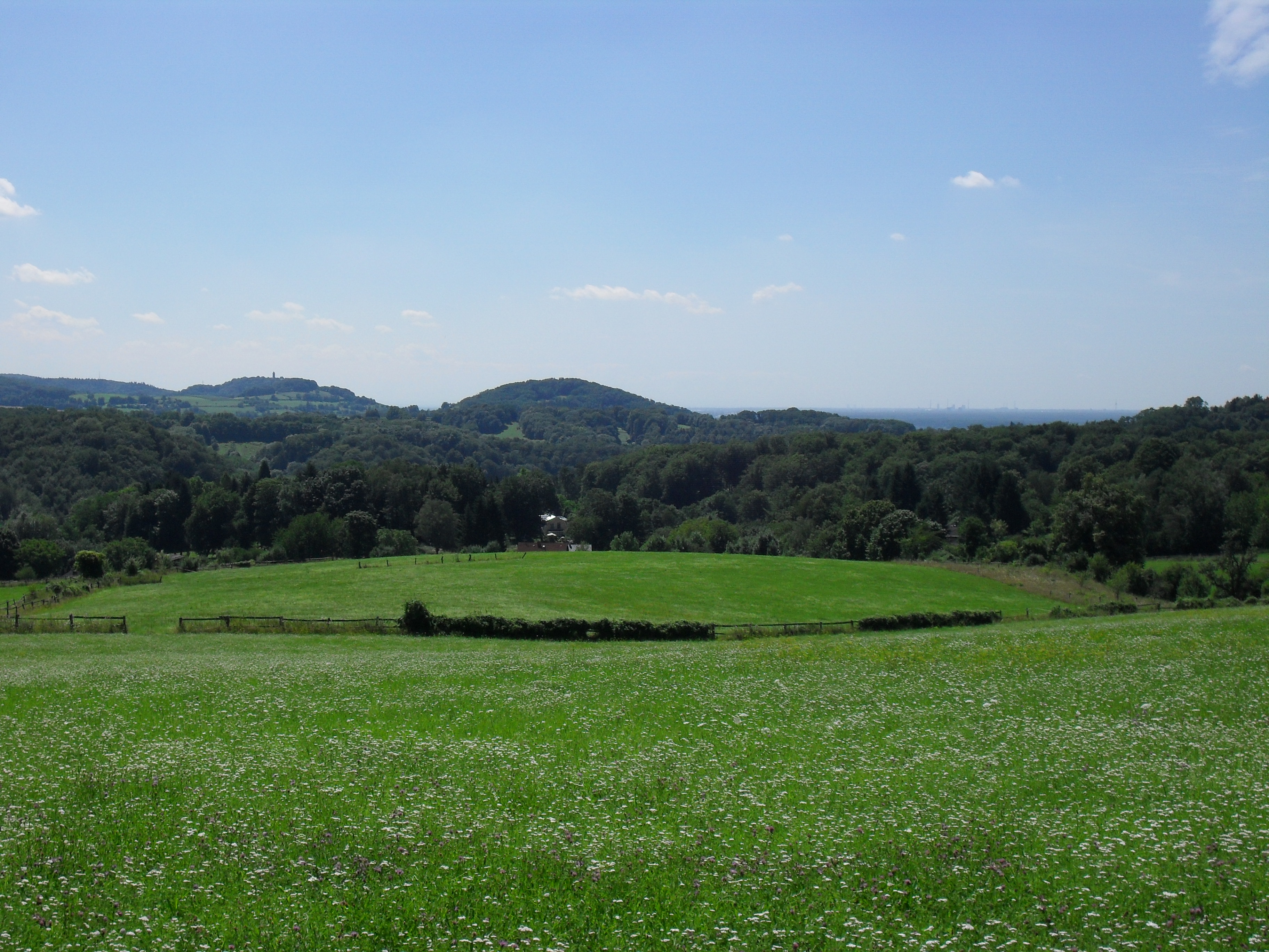SDC10719.JPG