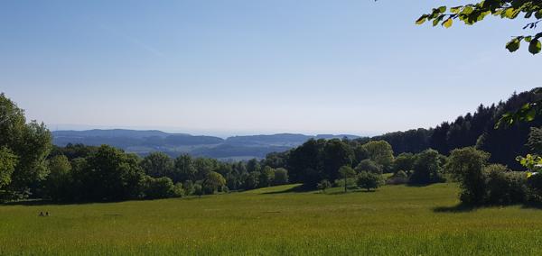 foto-odenwald-bearb2.jpg foto-odenwald-bearb2.jpg